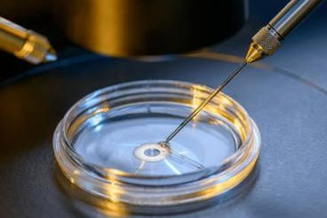 高龄试管不是梦！揭秘46岁女性如何优化卵子，提高成功率