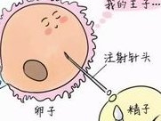 走进试管婴儿的世界（试管婴儿的艰辛历程感受）