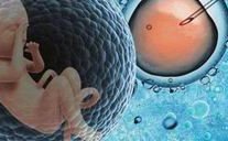 昆明结婚登记照在哪家拍比较好一次跟你说清，备婚的收藏