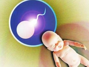 试管婴儿复发流产成因揭秘：同型半胱氨酸的影响与关联解析（2026版）